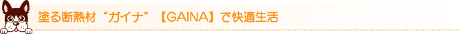 塗る断熱材“ガイナ”【GAINA】で快適生活 塗る断熱材“ガイナ”【GAINA】で快適生活